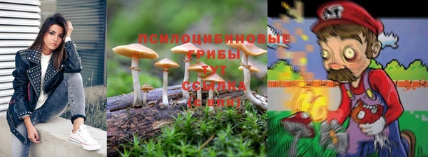 a pvp Армянск