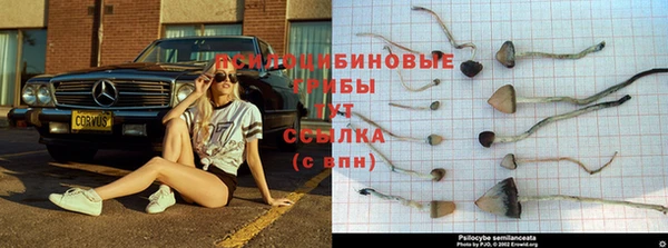 кокаин премиум Аркадак