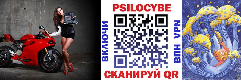 купить наркоту  гидра ссылки  Псилоцибиновые грибы мухоморы  Салаир 